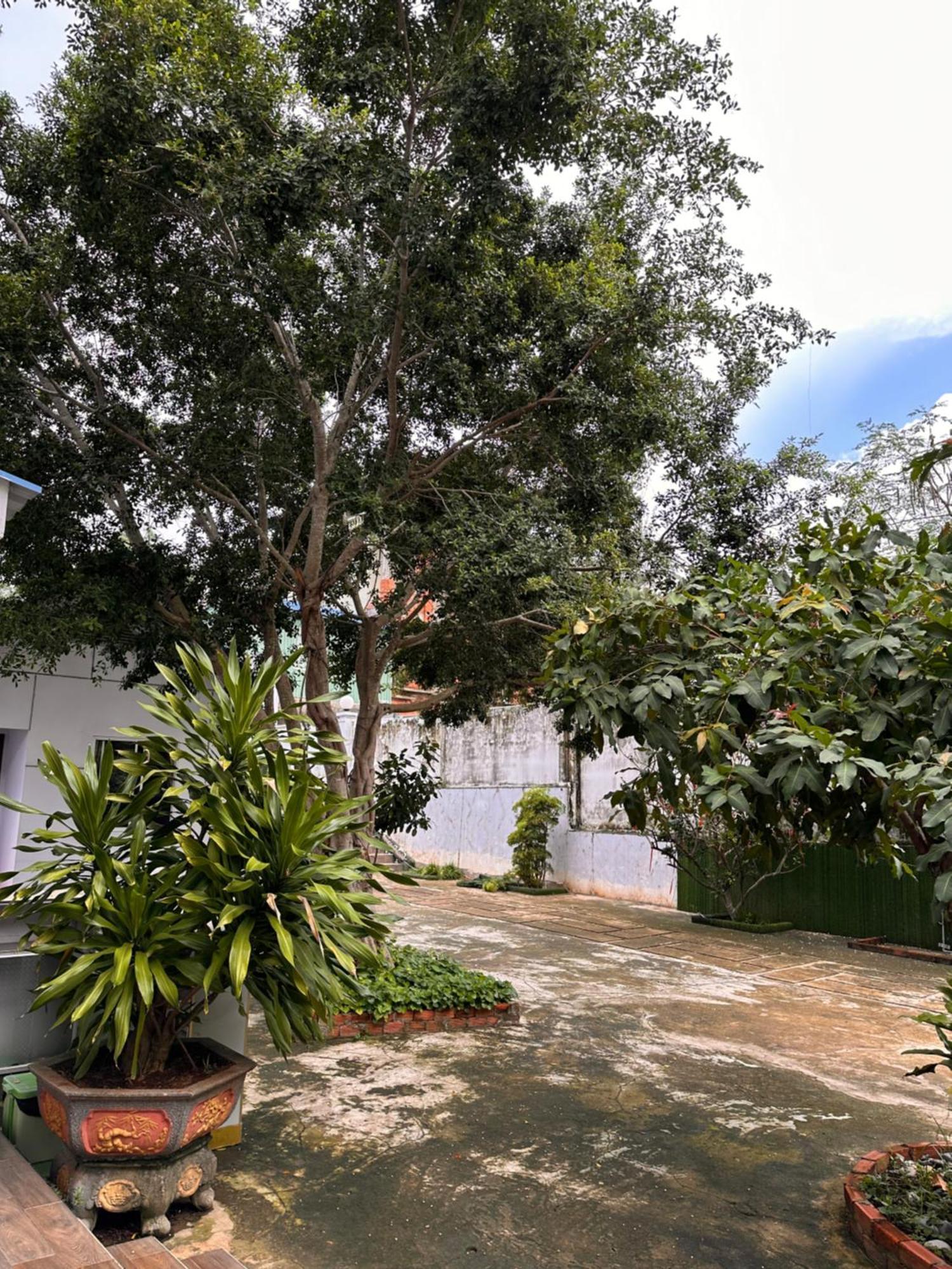 Bungalow Hotel Chi Khu Co Ong Екстериор снимка