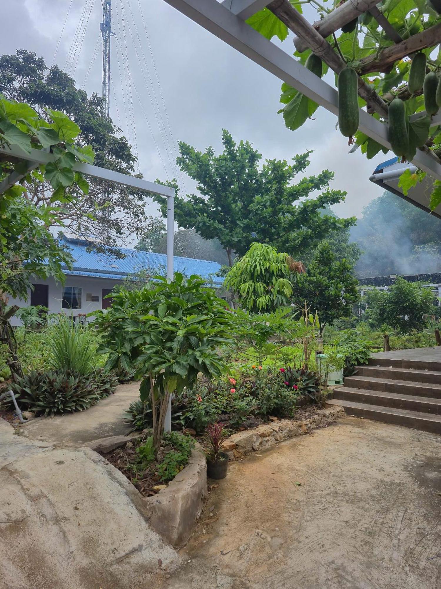 Bungalow Hotel Chi Khu Co Ong Екстериор снимка